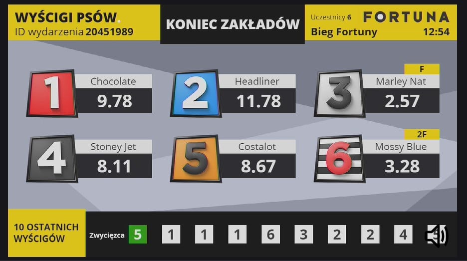 Fortuna wyścigi psów Wyścigi psów w Fortunie