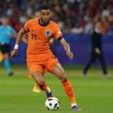 feature-image-441013