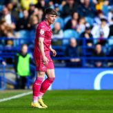 feature-image-444684