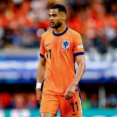 feature-image-438538