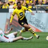 feature-image-463561