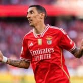 feature-image-455162