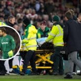 feature-image-520516