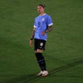 feature-image-556044