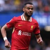 feature-image-597733