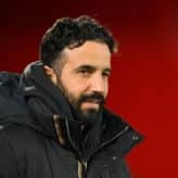 feature-image-595801