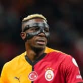 feature-image-598701