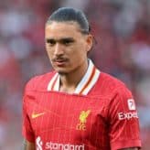 feature-image-593568