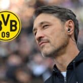 feature-image-619630