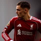 feature-image-626143